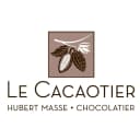 Le Cacaotier
